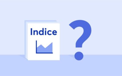 LES INDICE DE LA BRVM